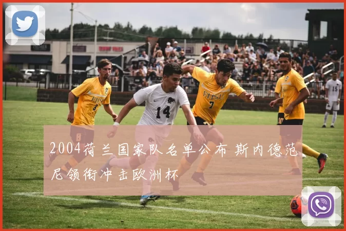 2004荷兰国家队名单公布 斯内德范尼领衔冲击欧洲杯