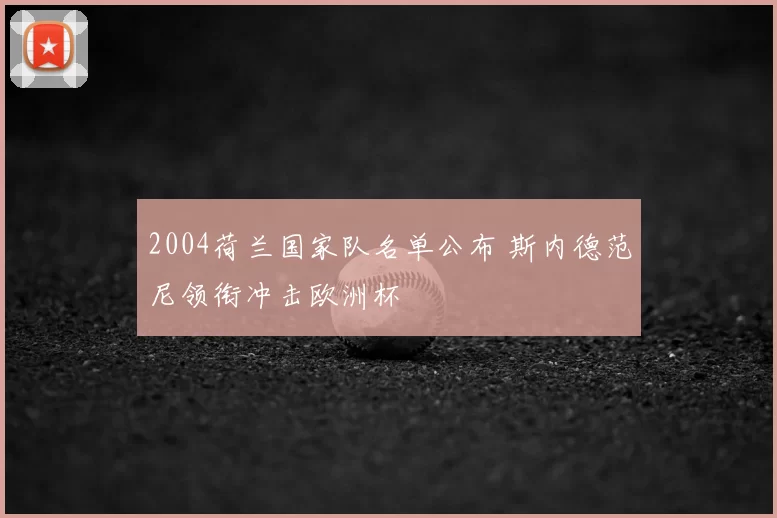 2004荷兰国家队名单公布 斯内德范尼领衔冲击欧洲杯