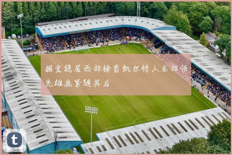 掘金稳居西部榜首凯尔特人东部领先雄鹿紧随其后