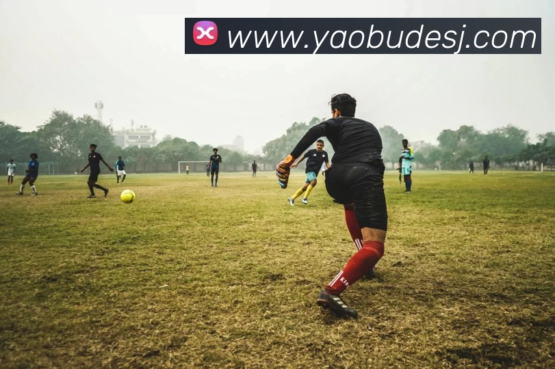 多媒体互动体验